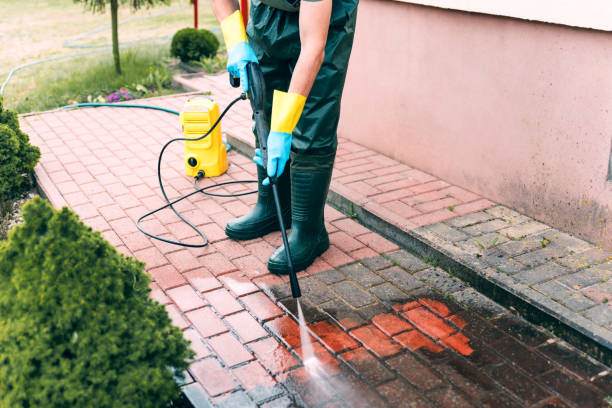 Best Solar Panel Cleaning  in Hunters Creek, FL